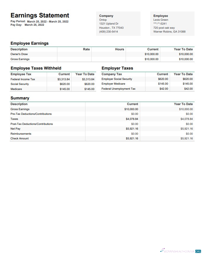 Download Ontop company earninngs statement in PDF and Words Photoshop template